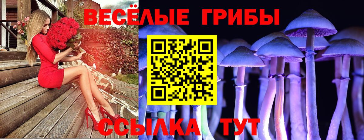 Галлюциногенные грибы Cubensis  Стерлитамак 